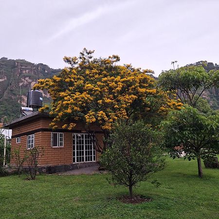 Posada Meztitla 迪坡斯特兰 外观 照片