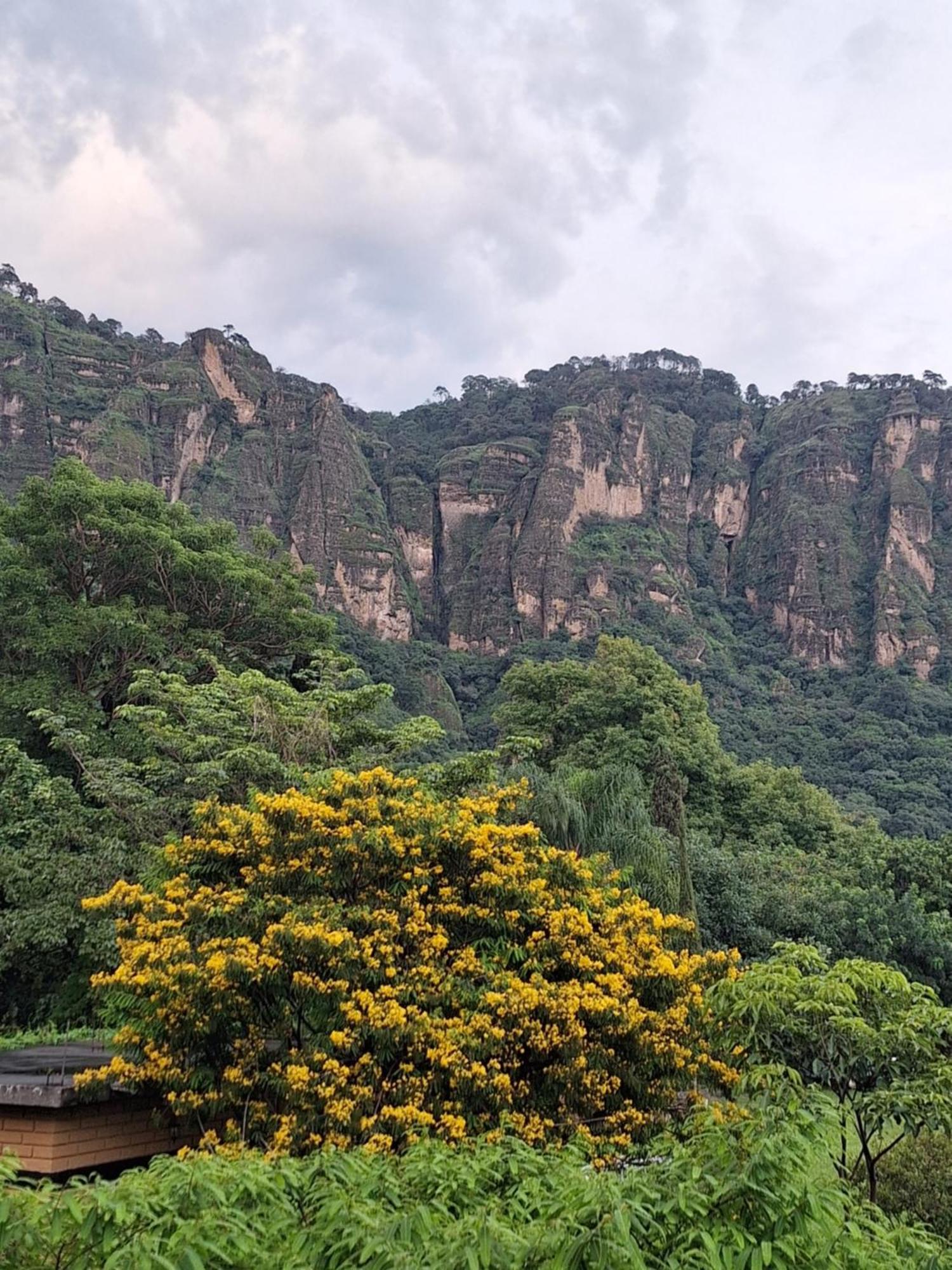Posada Meztitla 迪坡斯特兰 外观 照片
